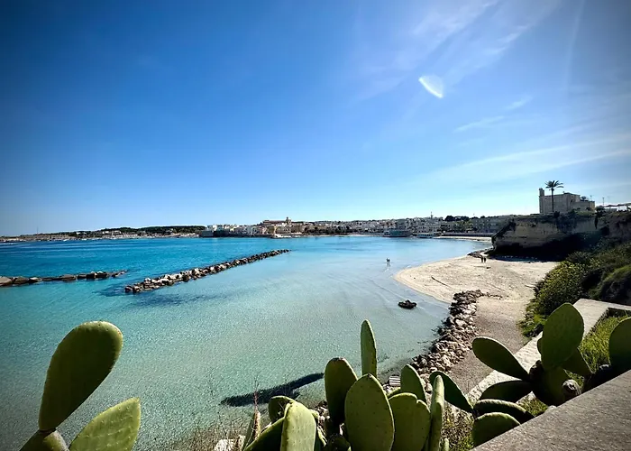 La Casa Di Leda 아파트 *